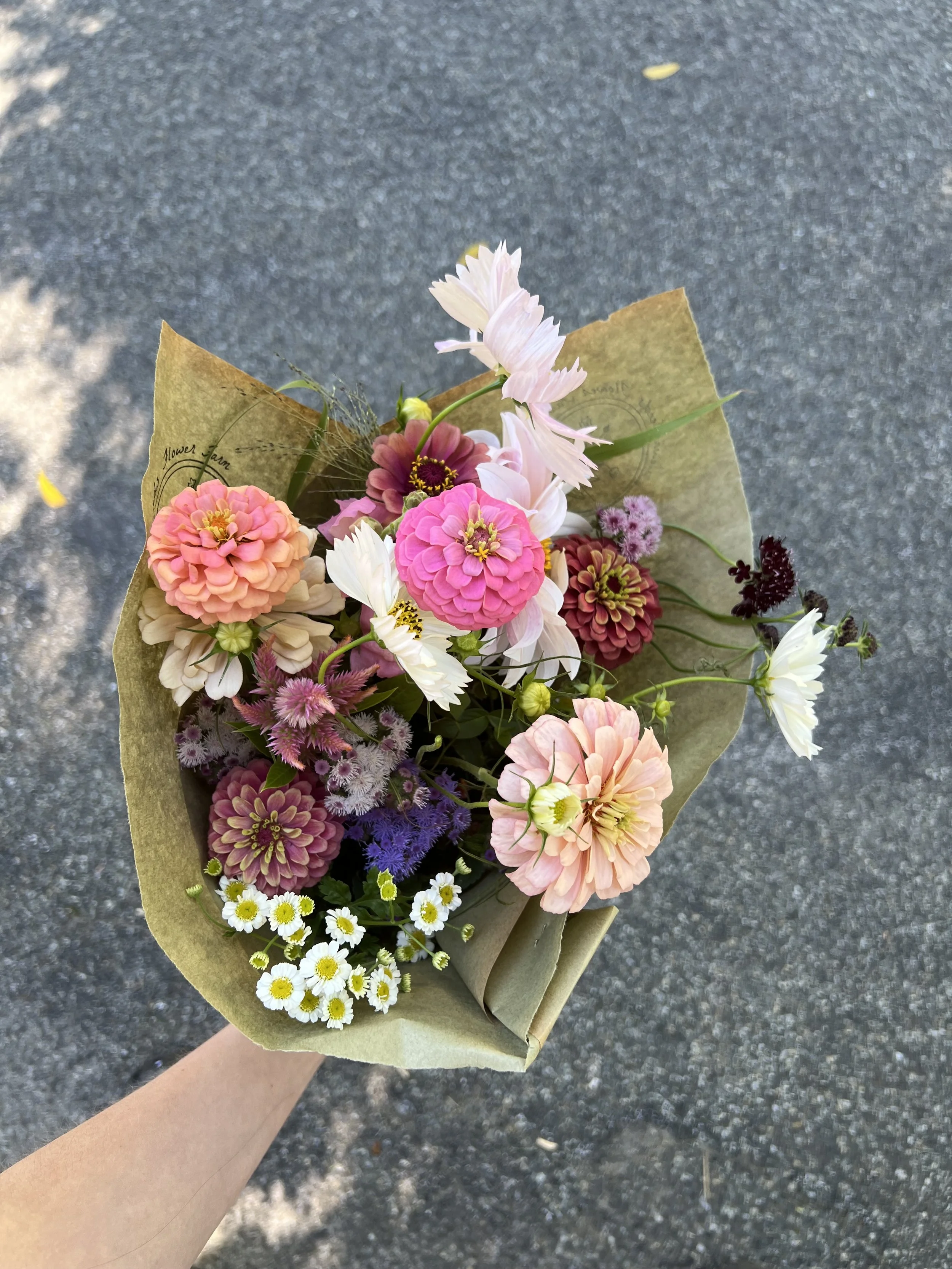 IMG_8825 - Copy.jpeg