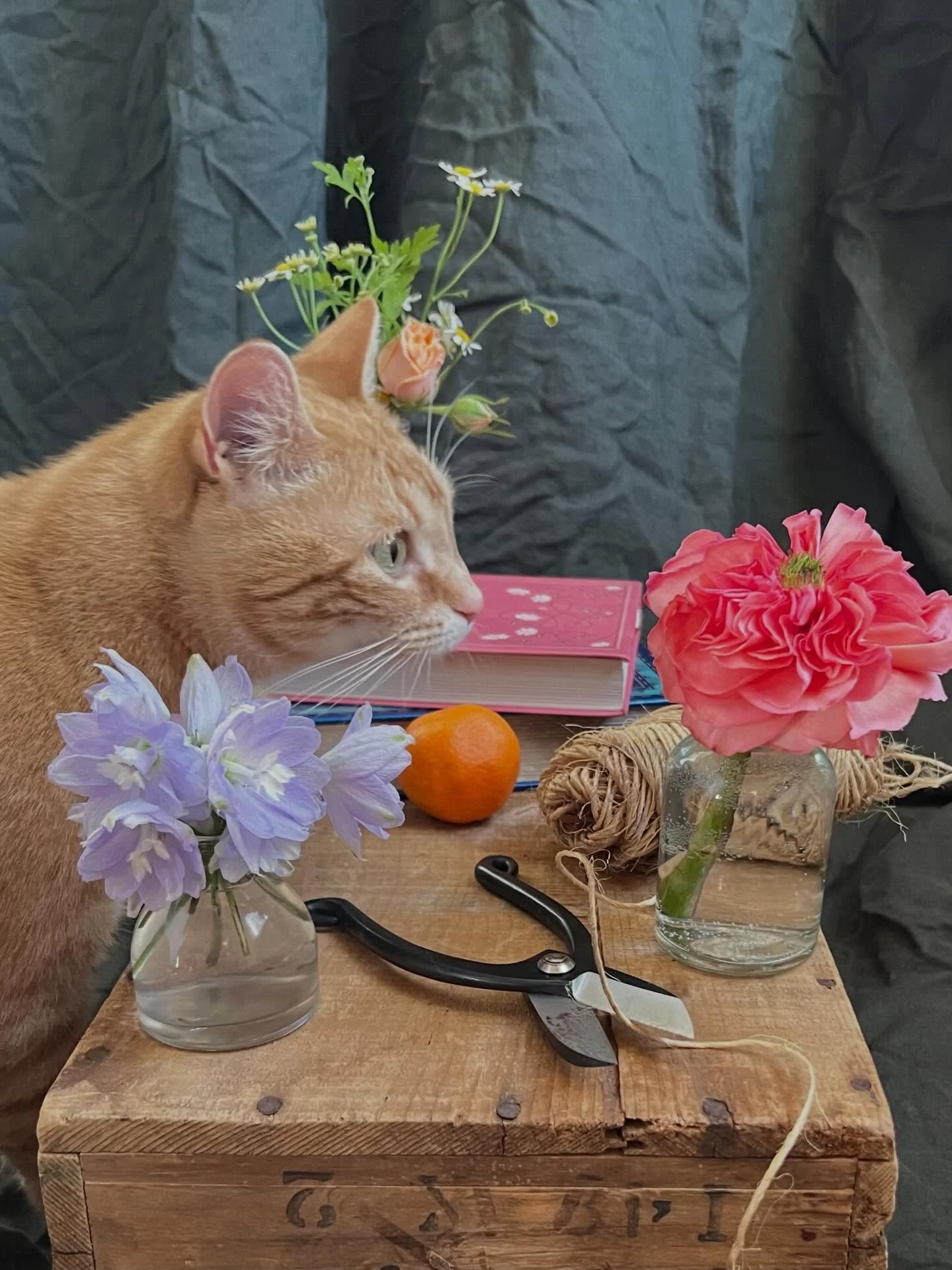 Iris loves flowers, we planted hundreds of her namesake this fall and are excited to share them with you when they bloom this spring! 

We are available for all of your floral needs and are still booking events for 2026! Let us know if there&rsquo;s 