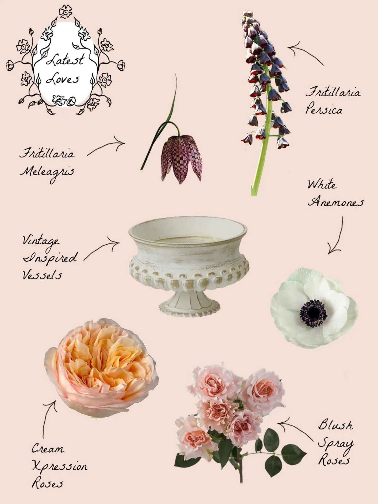 A little mood board while I wait for the Fritillaria to bloom, it&rsquo;s my first year growing these and &ldquo;excited&rdquo; is a big understatement for how I feel knowing they&rsquo;ll be here in a few short weeks! 

#farmerflorist #floralinspo #