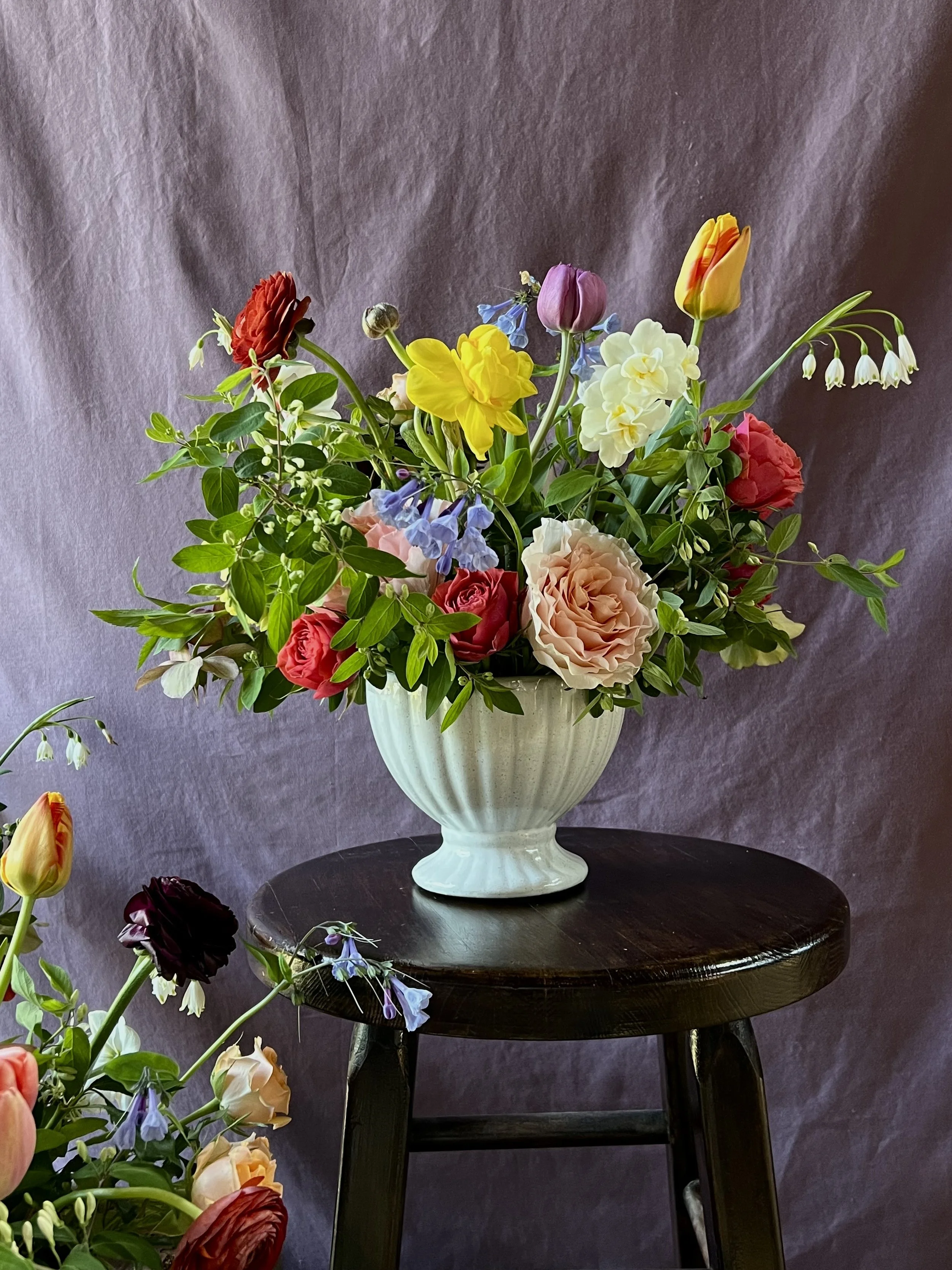 Compote Dutch Master.jpeg