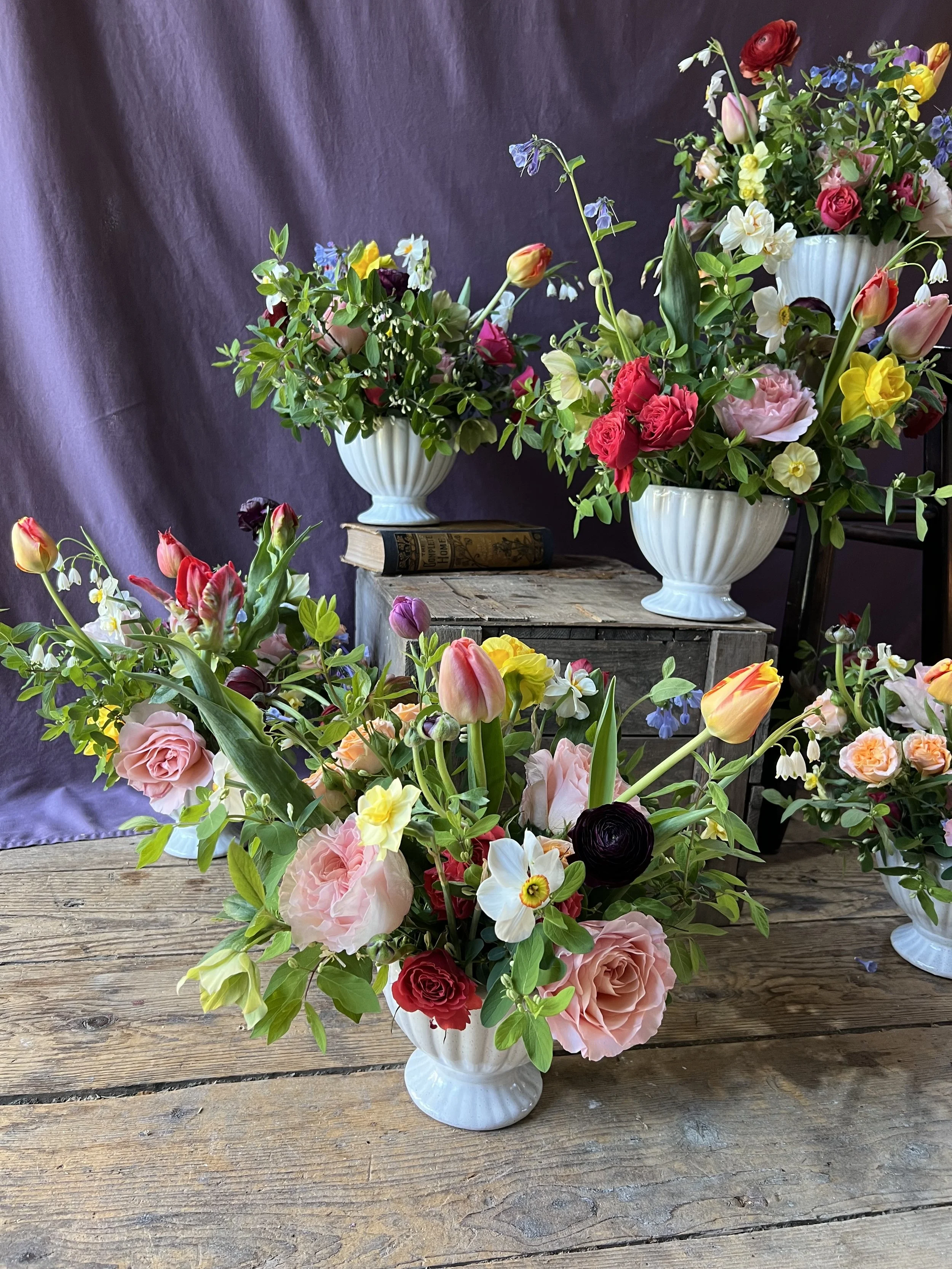 Dutch master scene 2.jpeg