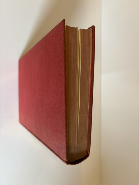 IMG_9475.jpeg