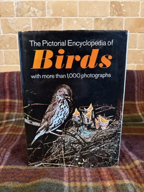 The Pictorial Encyclopedia of Birds - J. Hanzak (1976 - Fourth Reprint)