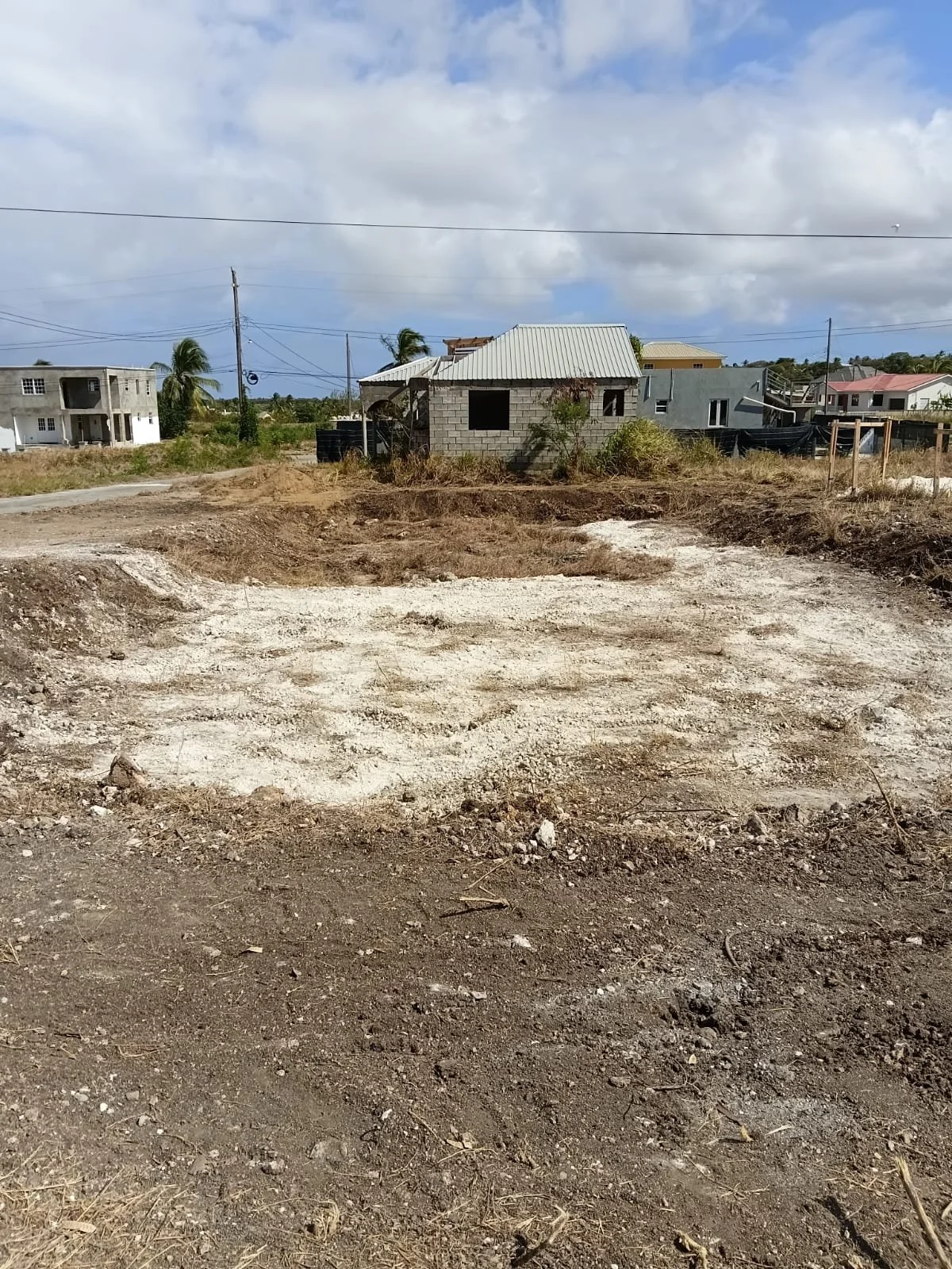 Lot 190L Palm Springs Fortesque St. Philip,.jpg