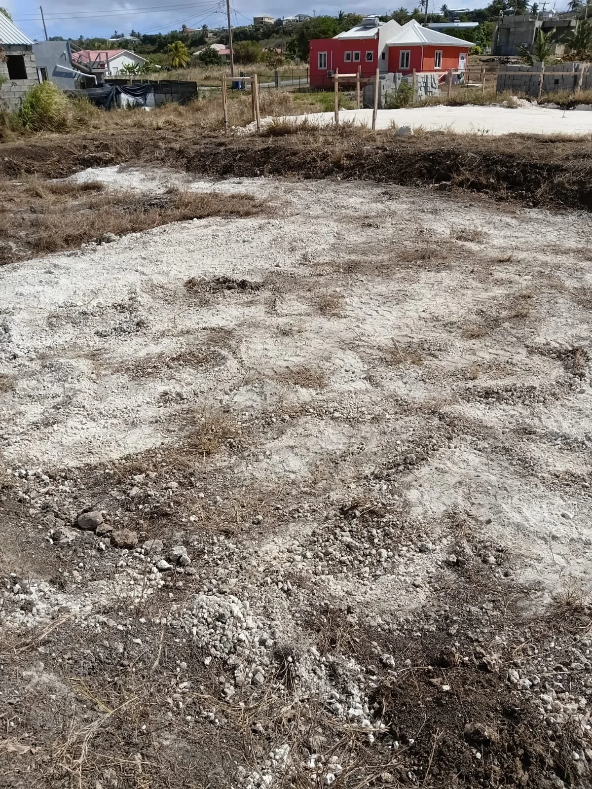 Lot 190L Palm Springs Fortesque St. Philip.jpg