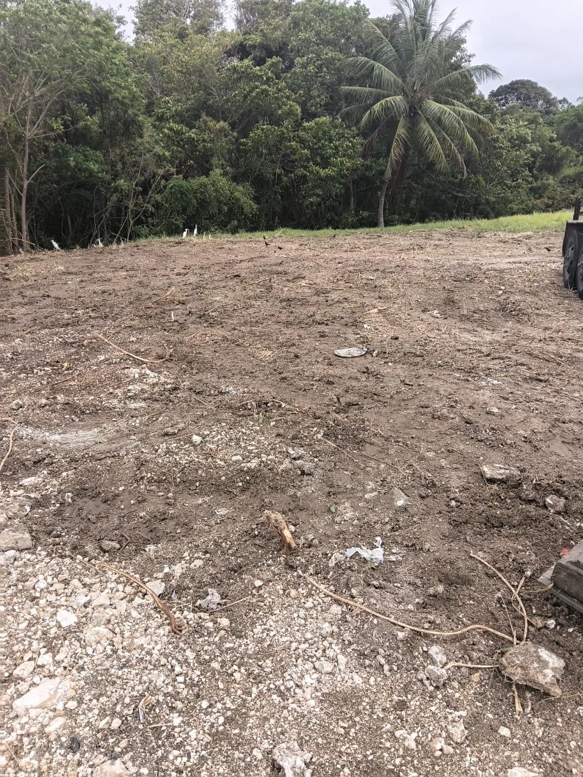 Lot 20 Serenity Hill, Kendal St. John.jpg