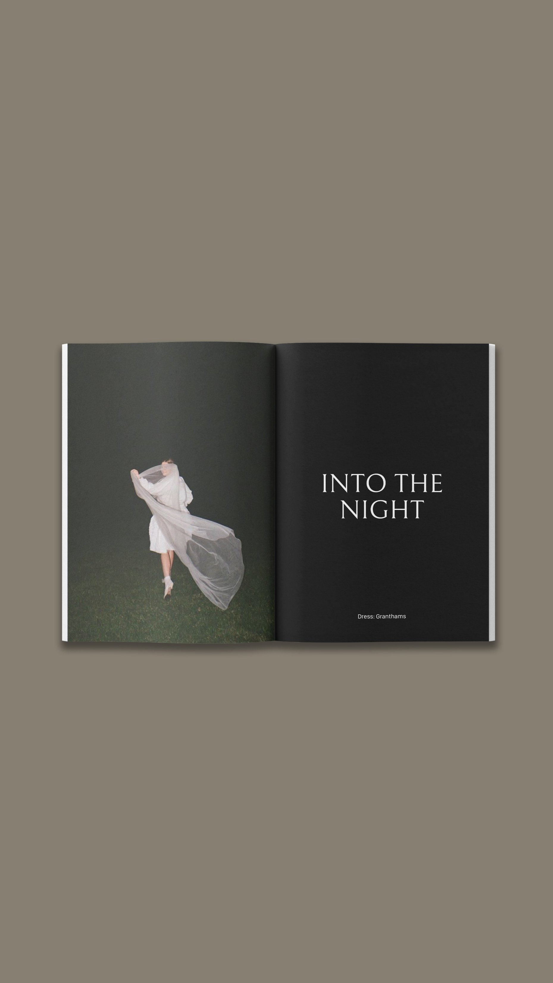 into the nighttt.jpg
