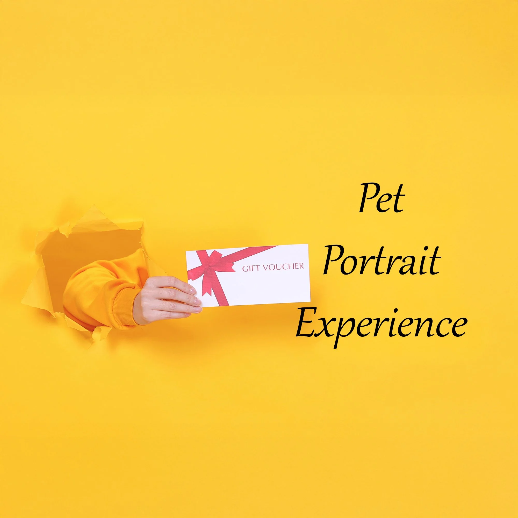 Pet Portrait Experience v.jpg
