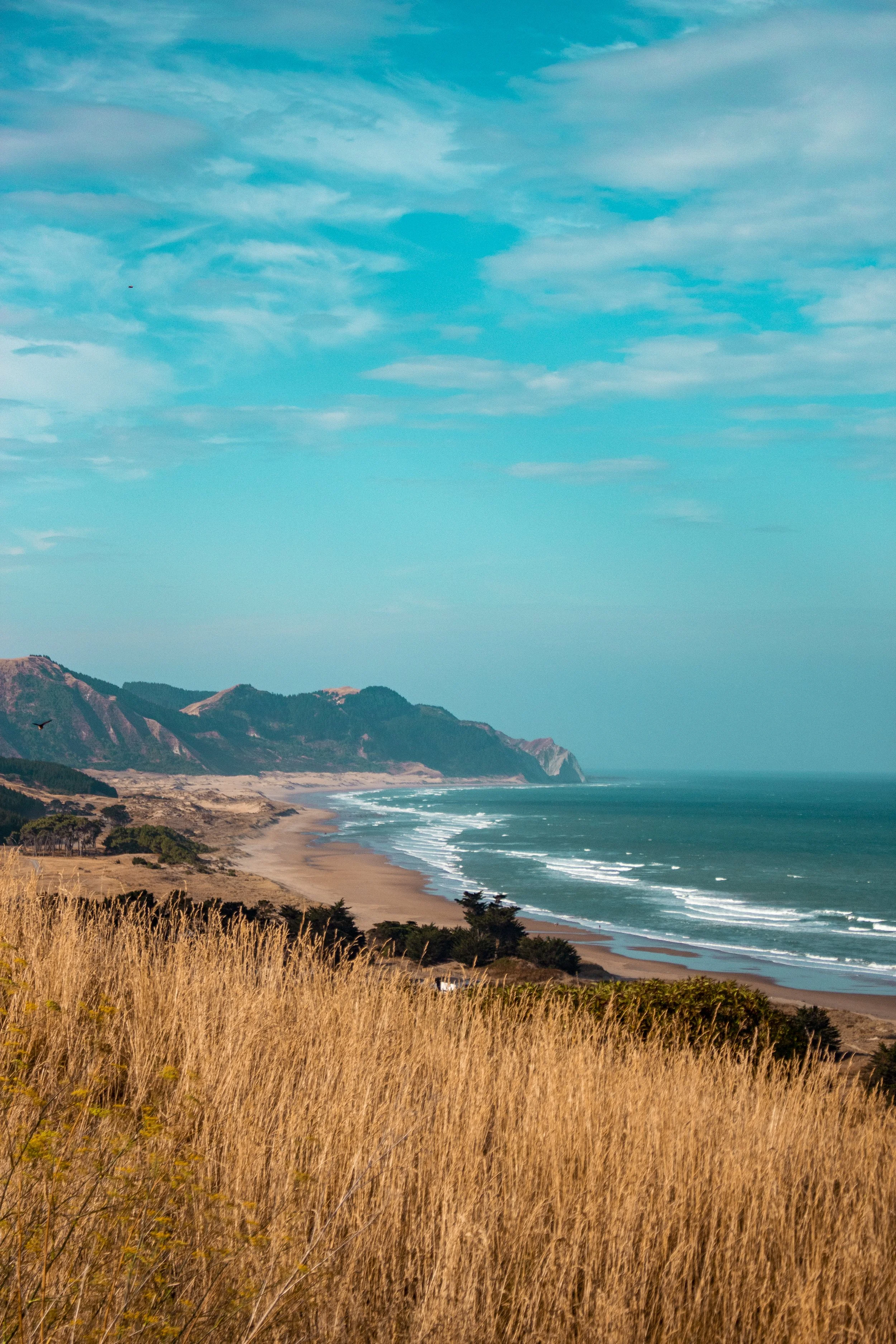 _MG_0161_4.jpg