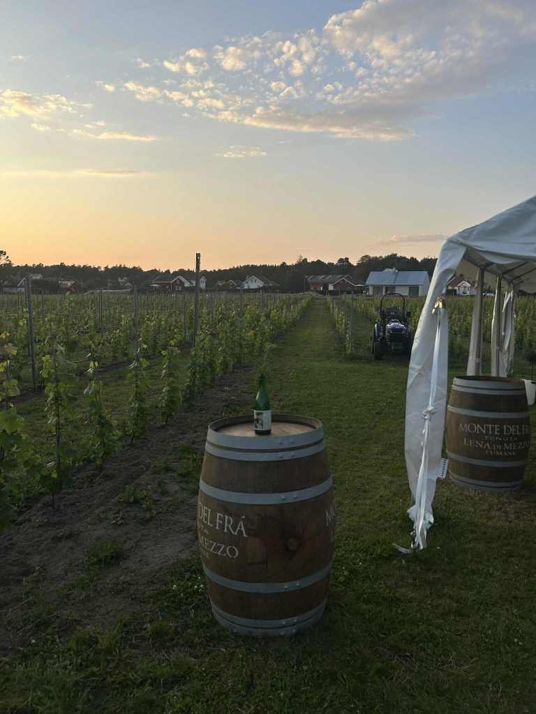 Ytre Hvaler Vingård - Lanseringsfest!