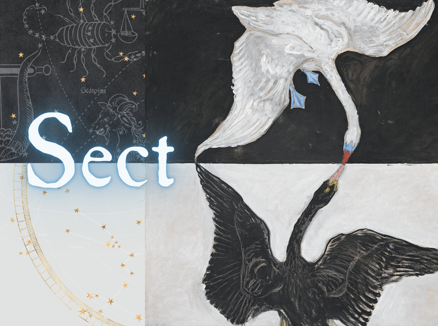 Sect