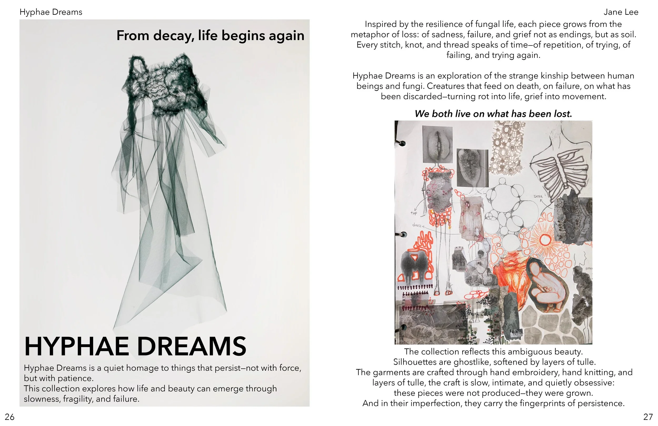 JANE LEE CONDENSED PORTFOLIO14.jpg