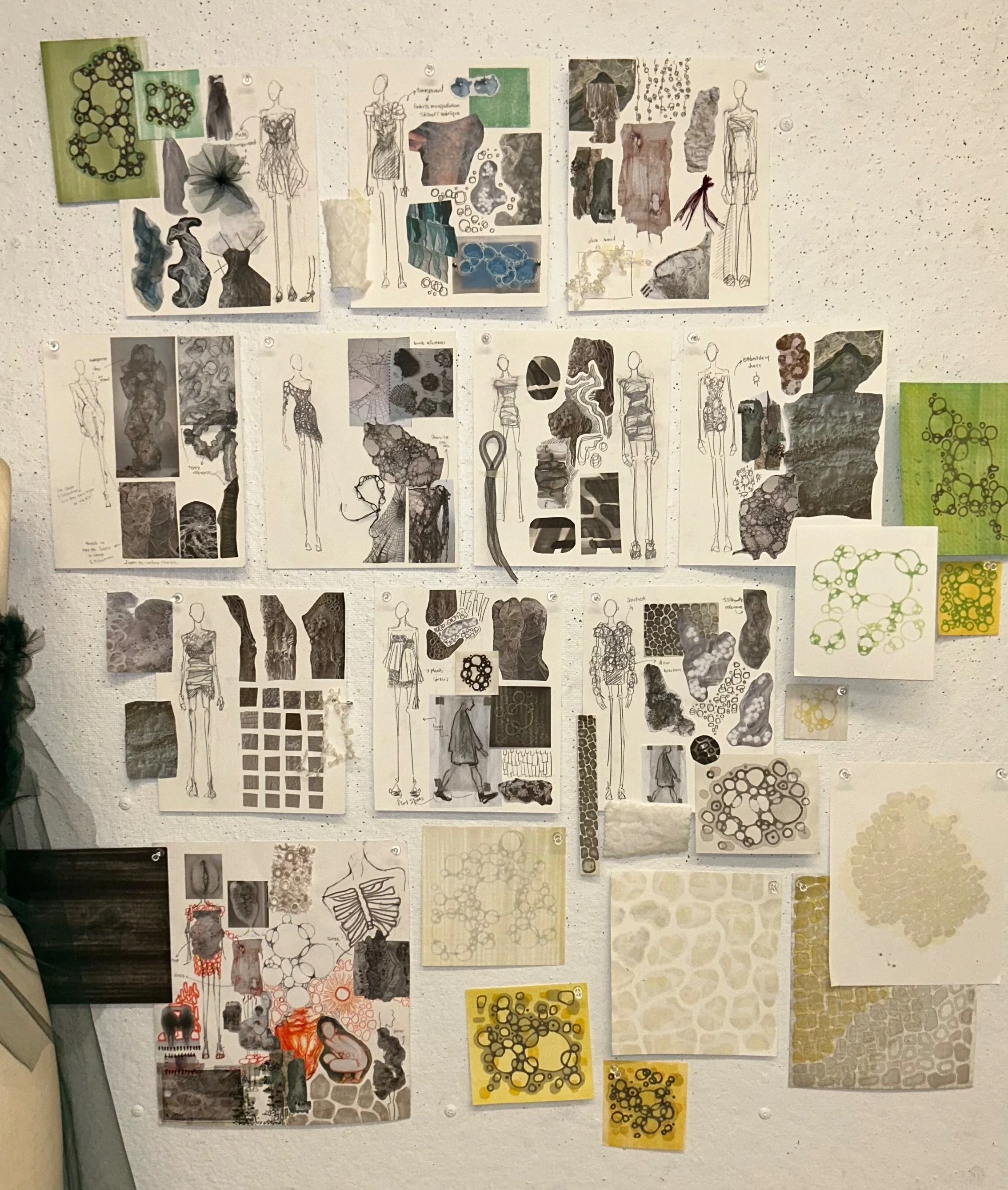 collection development