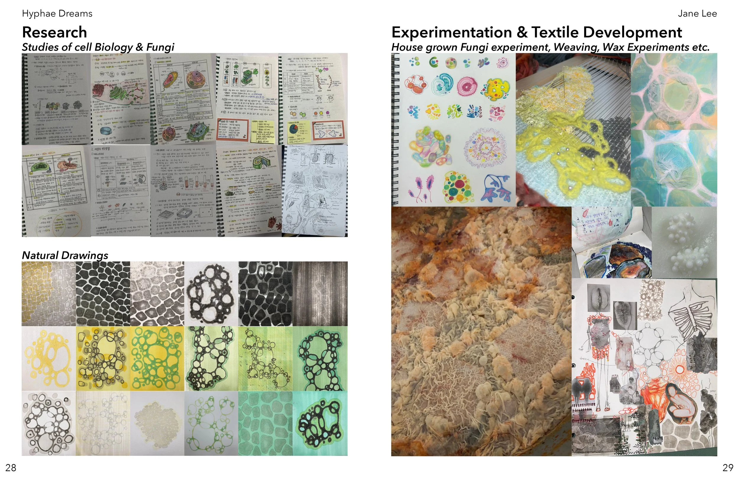 JANE LEE CONDENSED PORTFOLIO15.jpg