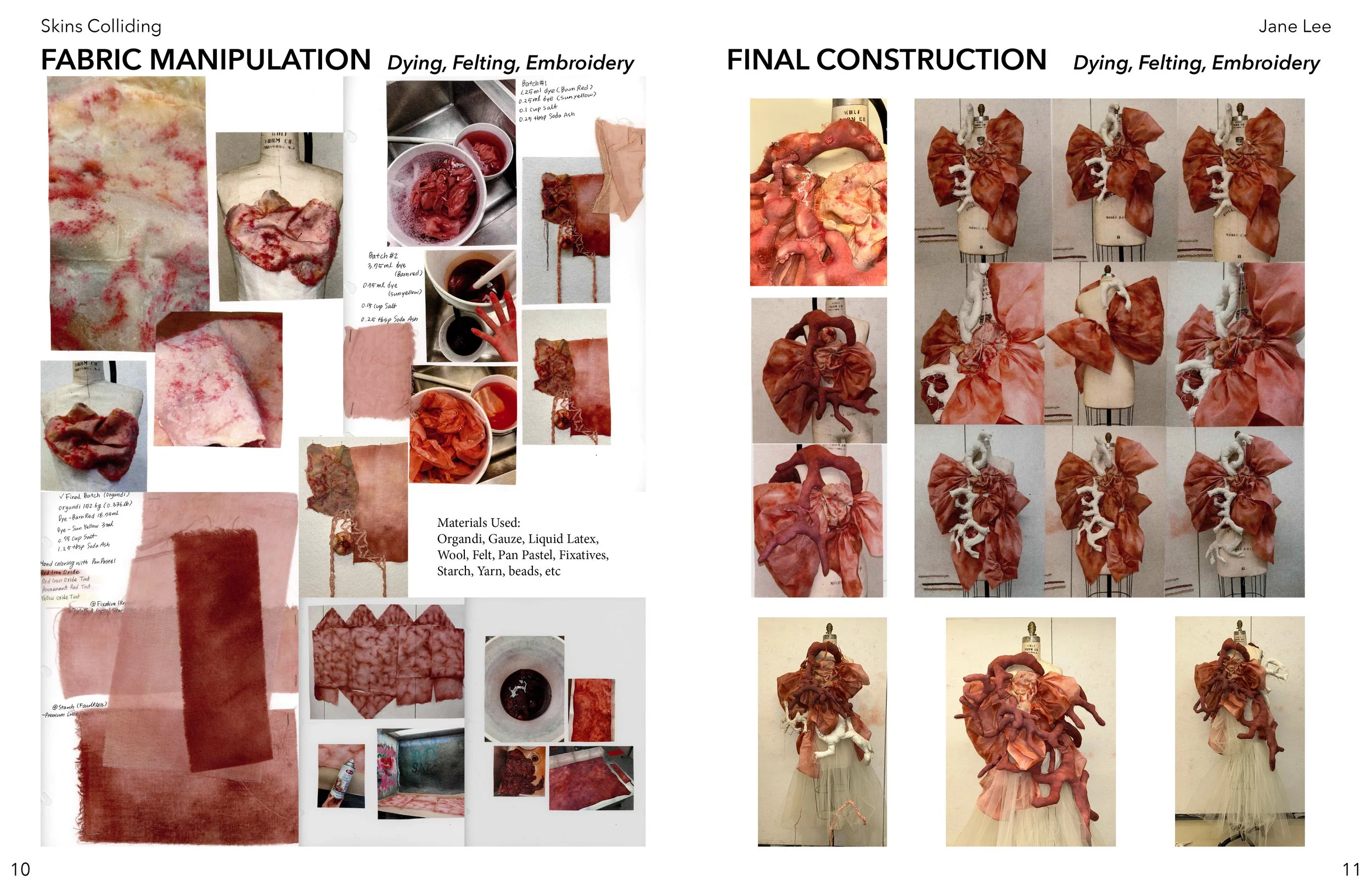JANE LEE CONDENSED PORTFOLIO6.jpg