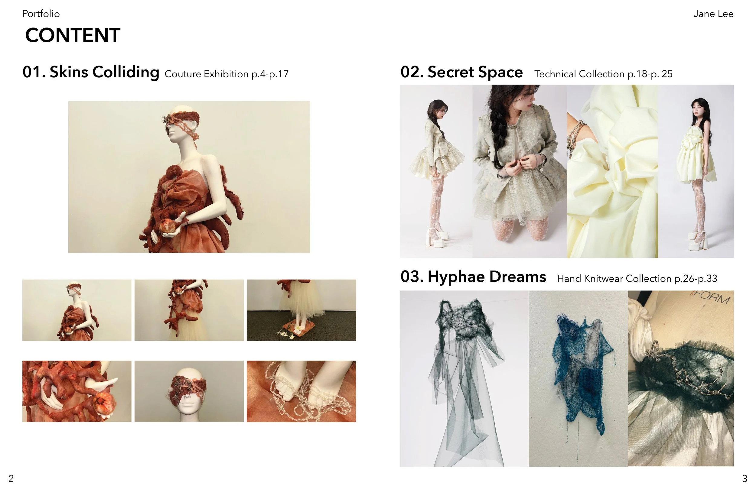 JANE LEE CONDENSED PORTFOLIO2.jpg
