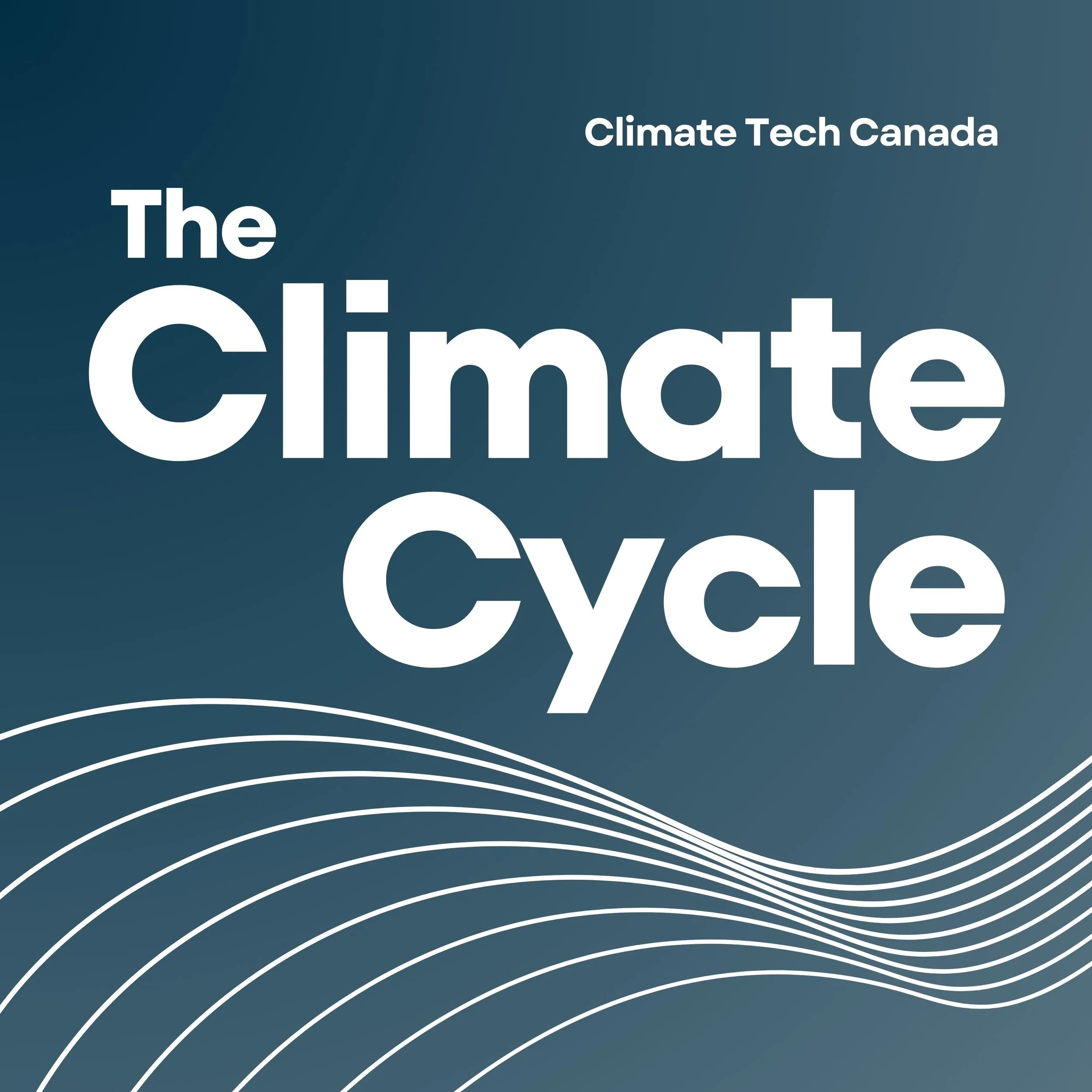Capturing Carbon in the North with Dr. Vida Gabriel from TerraFixing