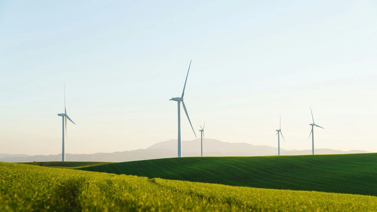 Renewables rebound