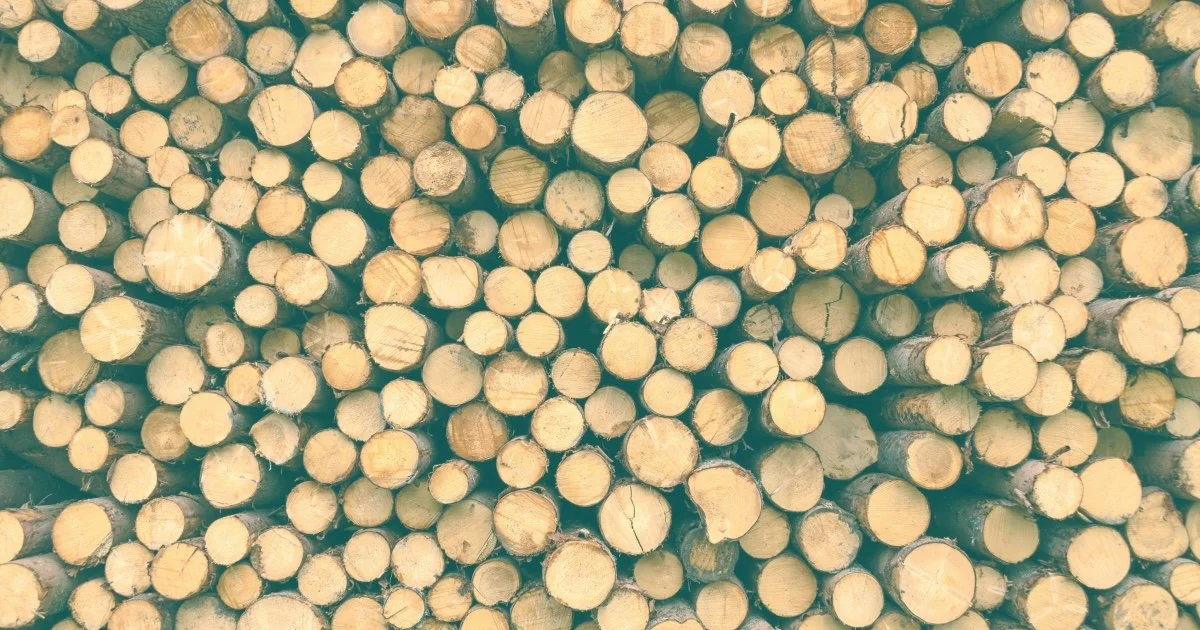 A $500M bet on greener forestry