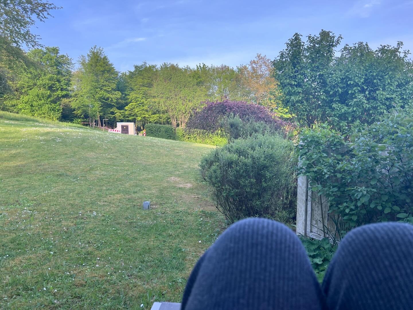 Bad Pyrmont, about an hour outside Hannover. I&rsquo;m at a 3-week fasting retreat at a clinic specializing in fasting. (Buchinger Klinik f&uuml;r Heilfasten.) Yesterday&lsquo;s steamed veggies was my last meal till May 17th. From today I get this br