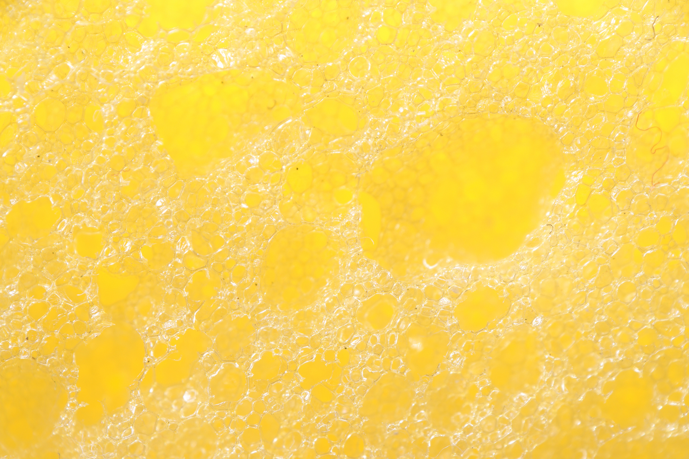 the better gut club gut health holistic wellness.png