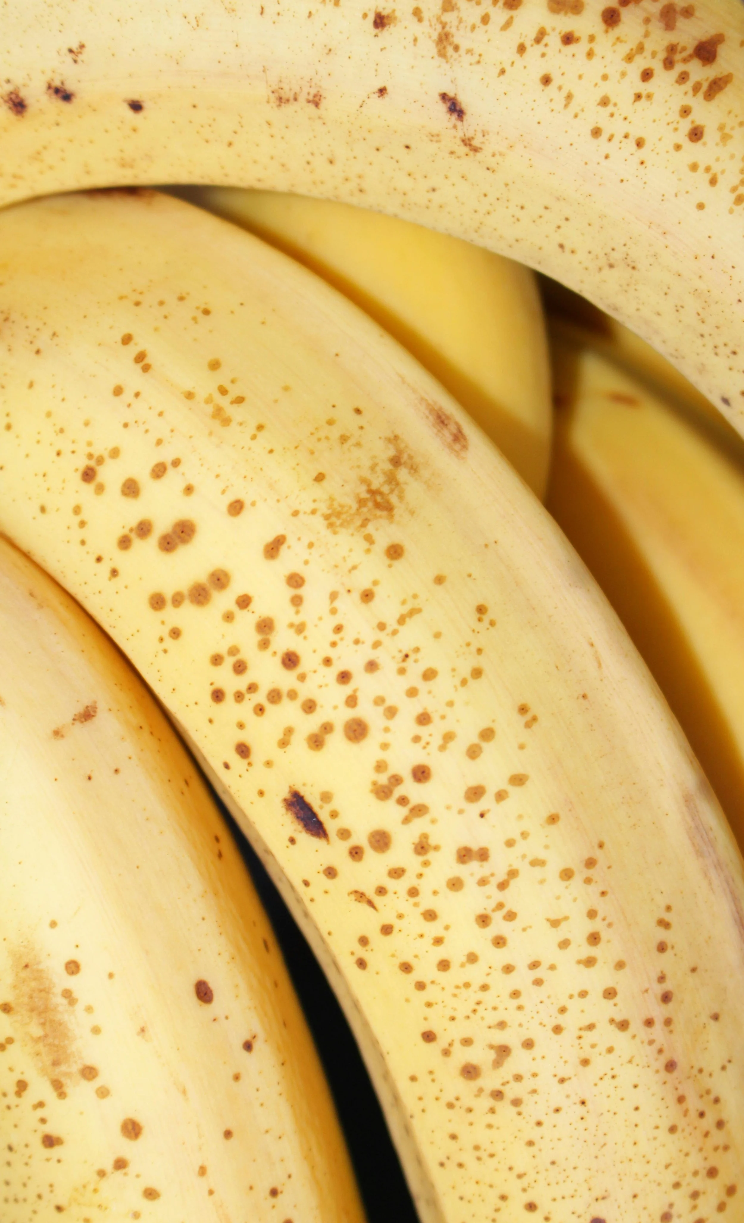 Gut Healing 101: How to Start Healing Your Gut naturally (Even If You Don’t Know What’s Wrong Yet)