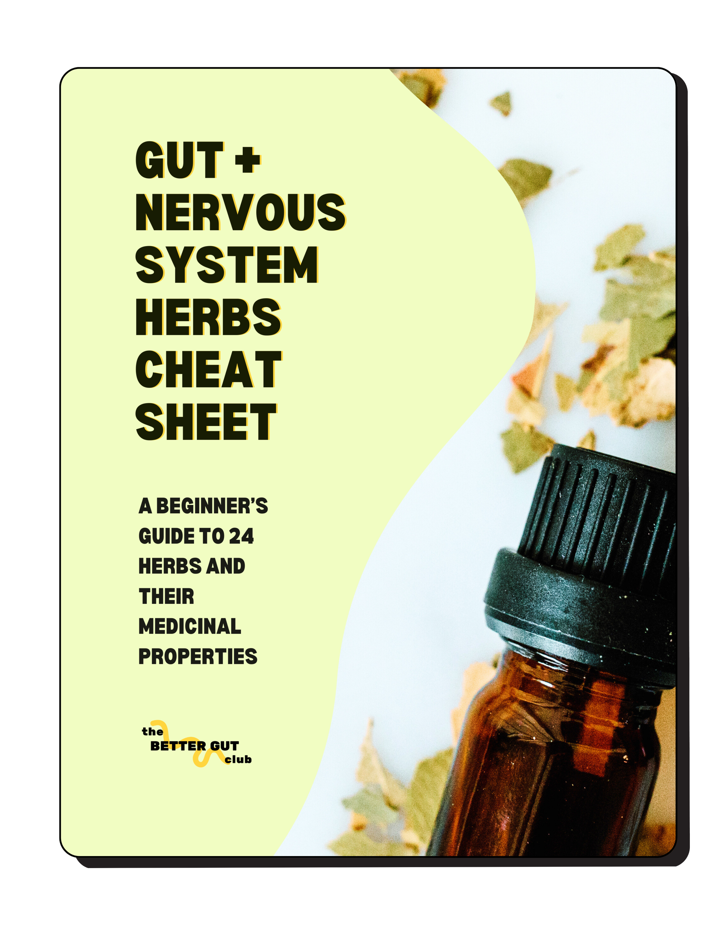 herbs for gut nervous system the better gut club gut health holistic wellness