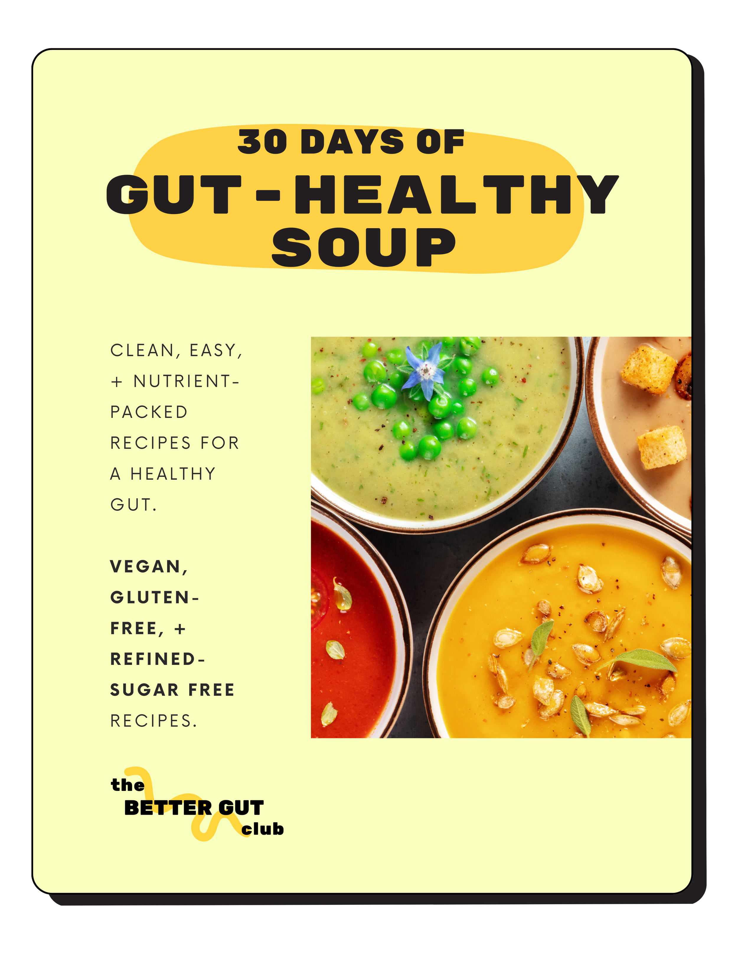 30 Days of  GUT-HEALTHY SOUP Recipe Book