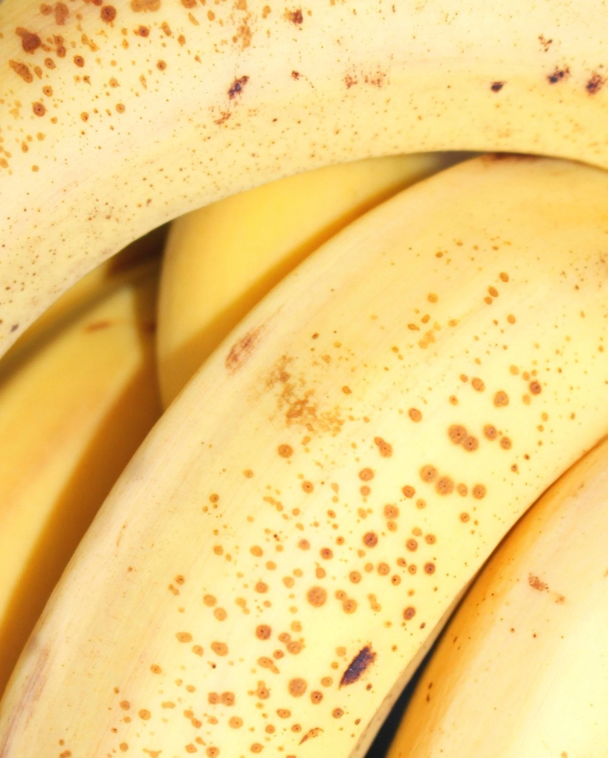 bananas - the better gut club gut health nervous system health holistic wellness