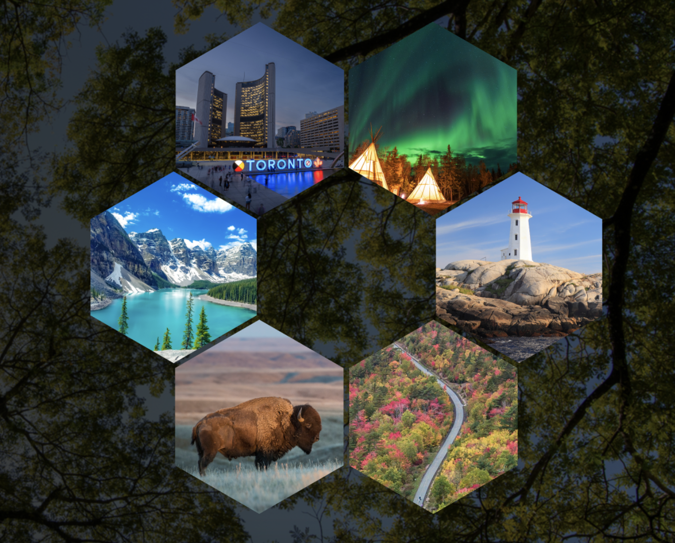 Adaptation Canada Conference 