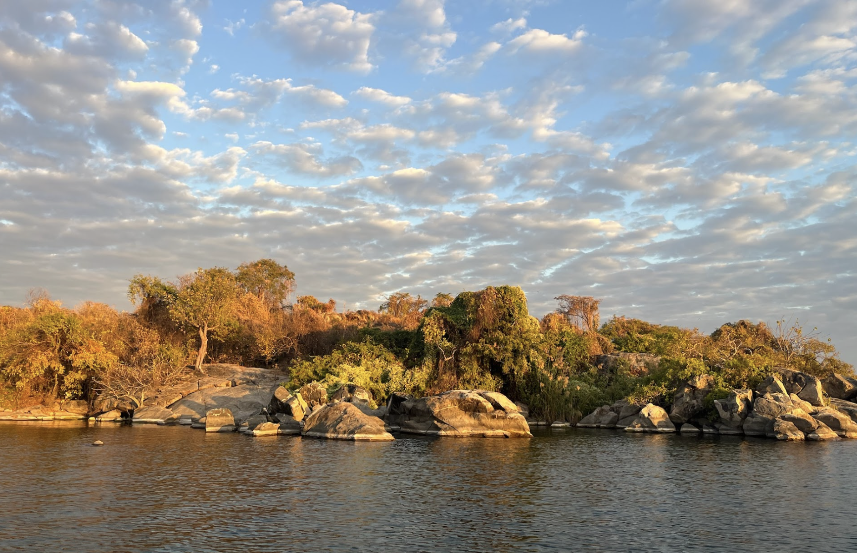 Screenshot 2025-08-27 at 10.17.43 AM.png