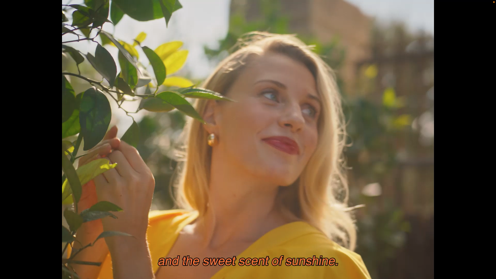 Screenshot 2026-03-31 at 12.36.30.png