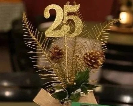 The 25th anniversary event summary