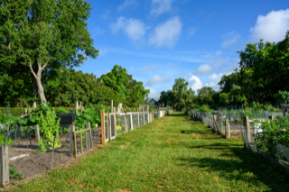 Seabrookers for a Greener Environment