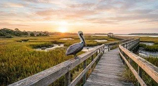 Protecting Seabrook Island’s Marshlands