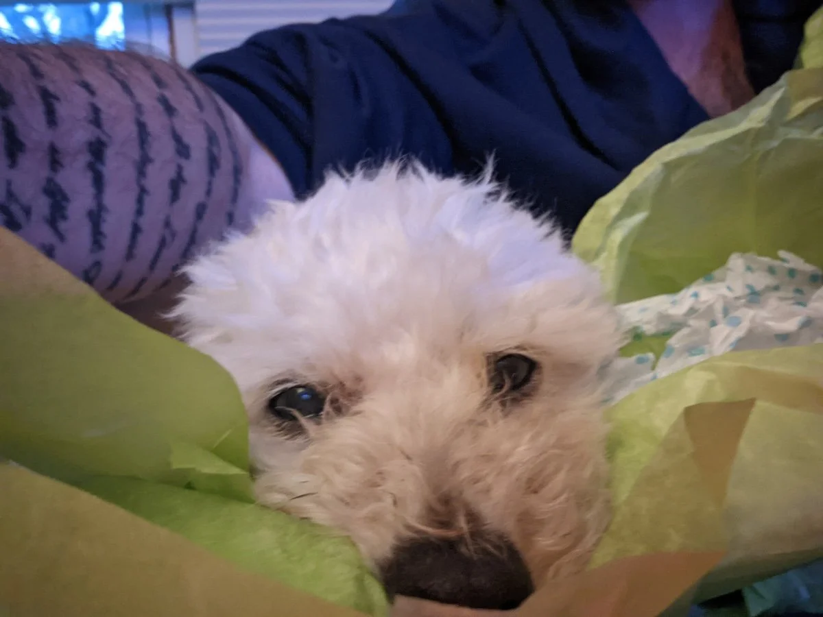 12.27.25 | Winner Winner, Christmas Dinner