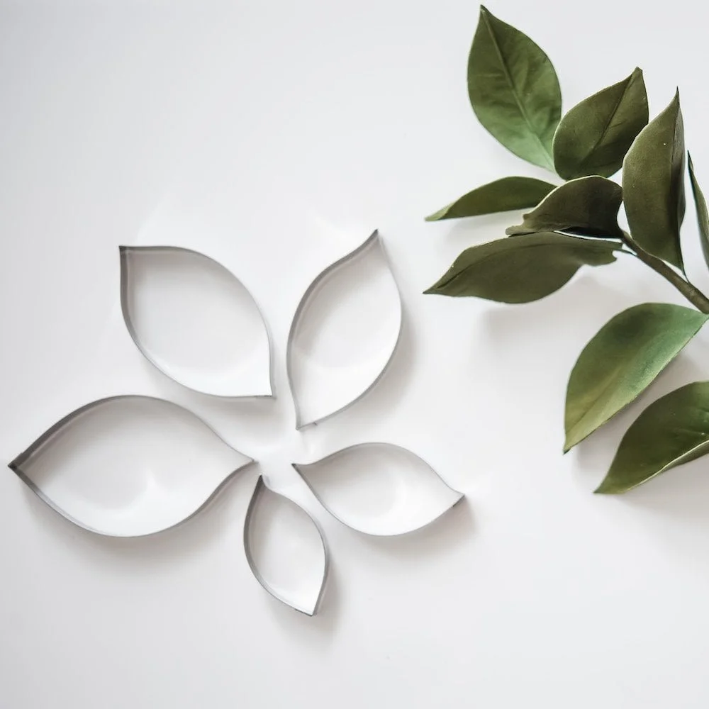 suzanne-esper-hard-ruscus-leaf-set-of-5-stainless-steel-icing-cutters-p11127-33290_image.jpg