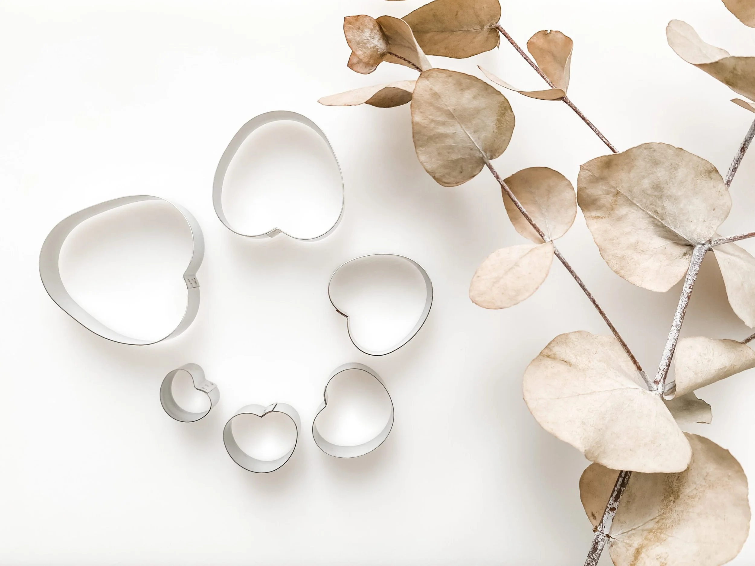 Large GERBERA SPEED professional stainless steel icing cutter — Suzanne ...