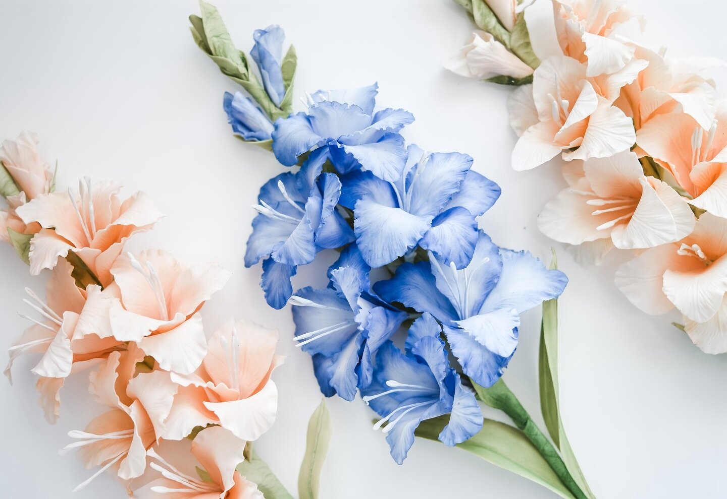 Gladiolus sugar flowers for spring.

Blue or Peach - what colours your fave? 

#sugarflowersclass #sugarflowers #gumpaste #cakeschool #suzanneespercakeschool