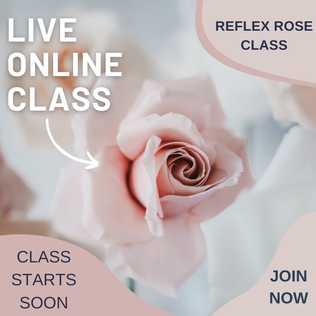 Launch Day is here - Yay!

My new sugar flower class is now open and for a short time you can grab the Early bird price of &pound;30 saving &pound;10 by booking today.

You'll get:
💐- Instant Access to the pre recorded video lessons for 3 different 