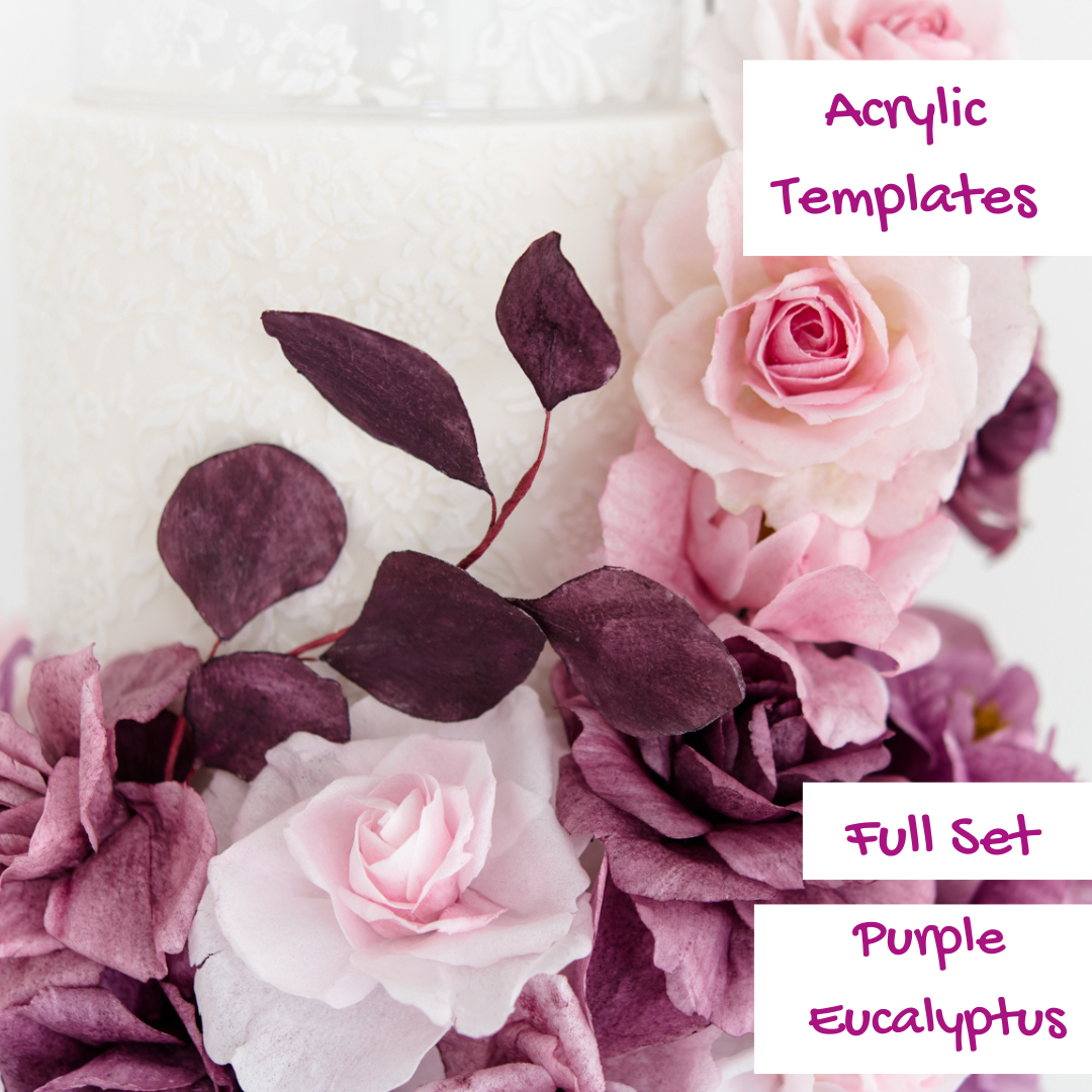 Acrylic Flower Template -Use with PLUM VIBES Cake Class