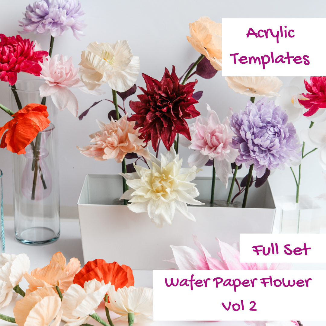 promotion pics sqaure (3).png