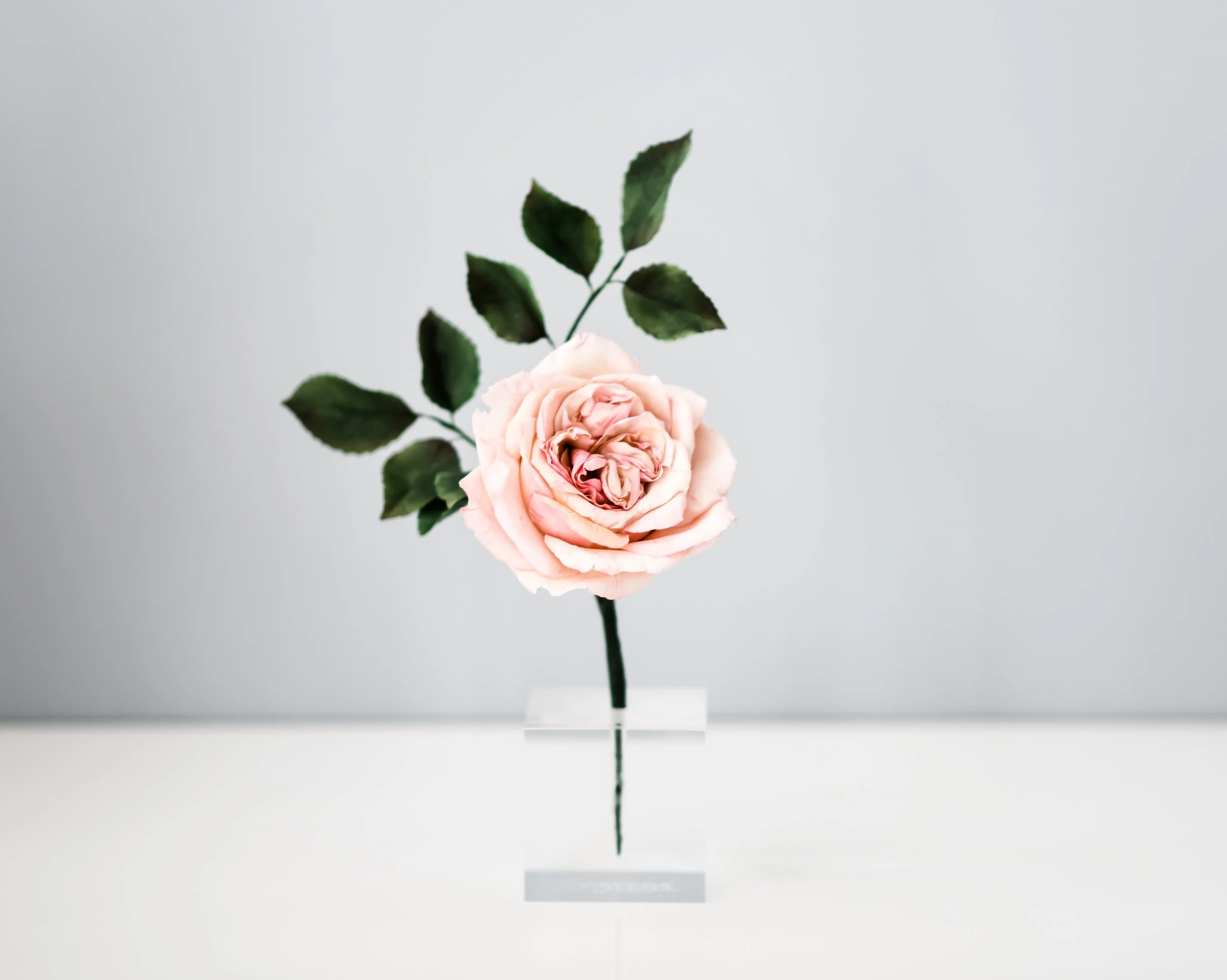 Acrylic Sugar Flower Display Holder 7" Block