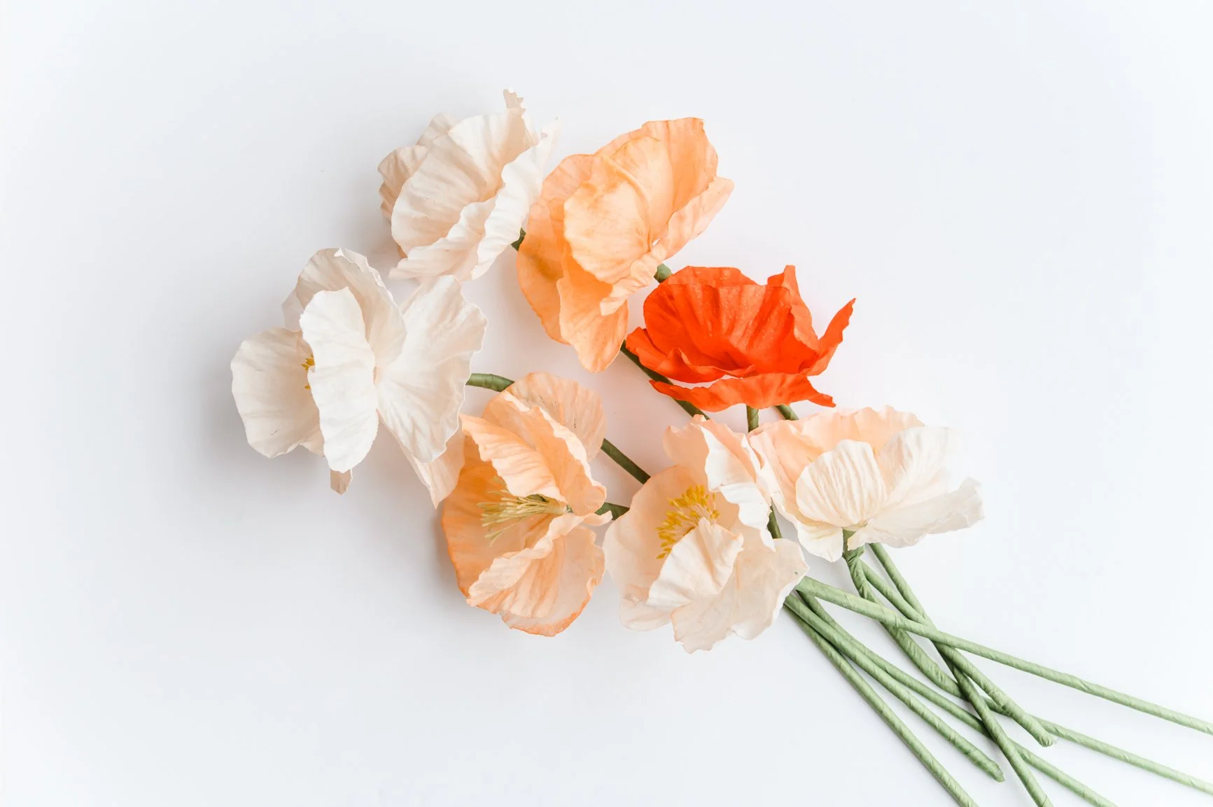 Wafer Paper Flower Course 