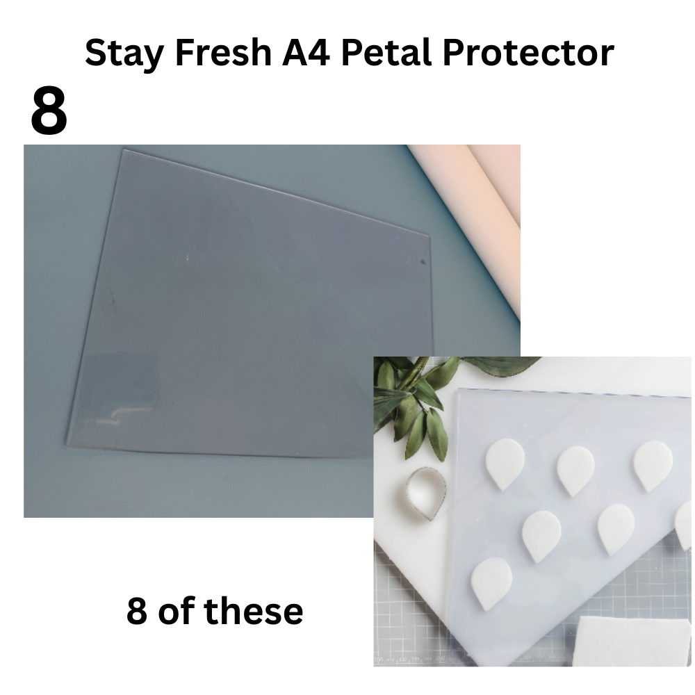 8.png