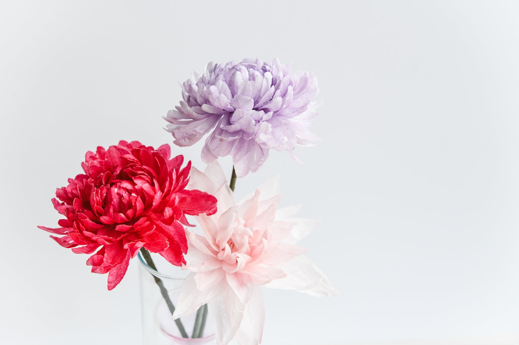 Wafer Paper Flower Course 