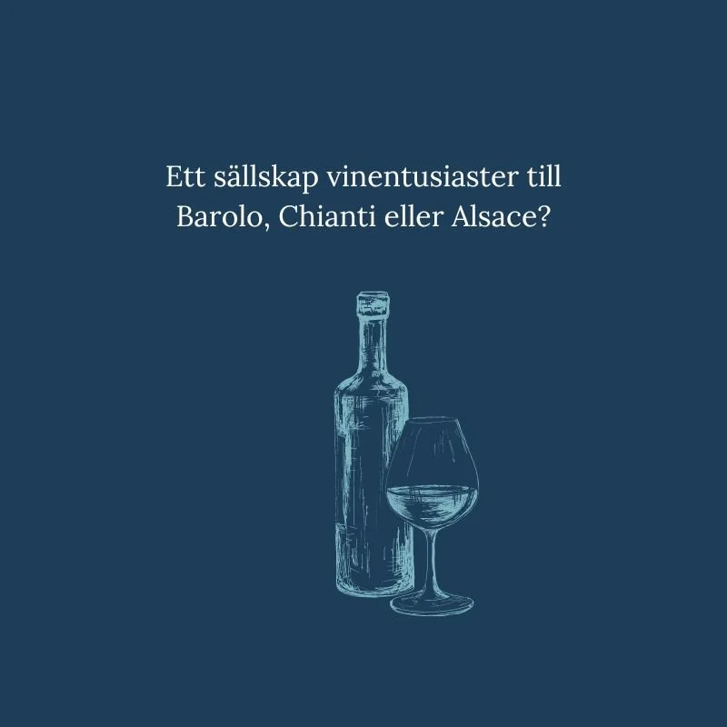 Gustavs Europa_temaresor_vinentusiaster_vin_Barolo_chianti_alsace.jpg