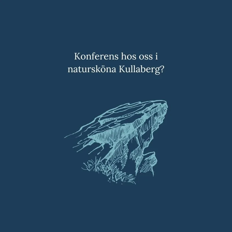 Gustavs Europa_temaresor_konferens_kullaberg_kullabygden_arild.jpg
