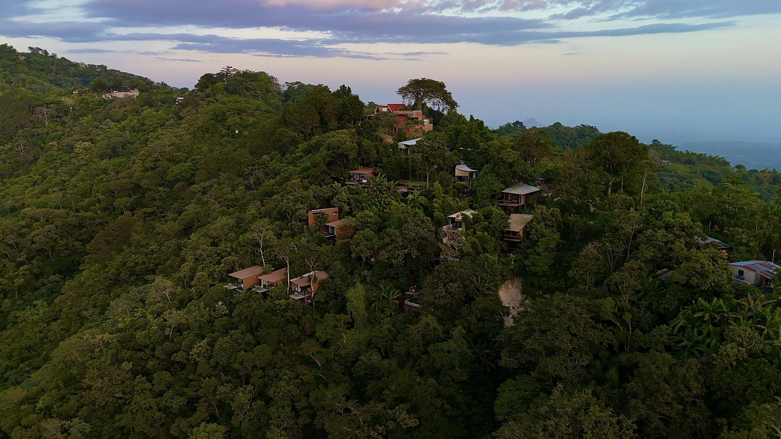 dji_fly_20260814_181208_0262_1786753344795_photo.jpg