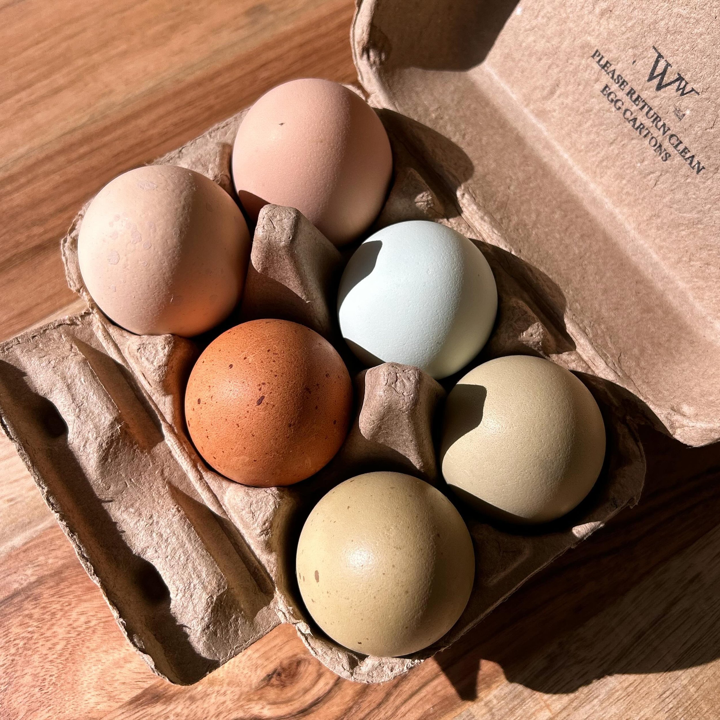 We see signs of spring in Aspens Market &mdash; Our favorite local + free range eggs from @wenzelwattles are back on the shelves! Did you know chickens tend to start laying more eggs as the daylight hours increase? Warmer + longer days are on the hor